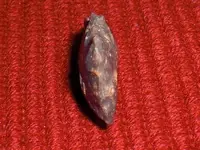 CIMG9061.webp