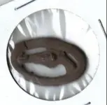 Pistol Pin Front.webp