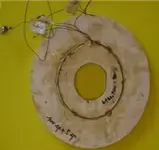 coil1.webp