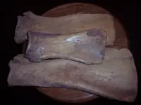 100_4515.webp