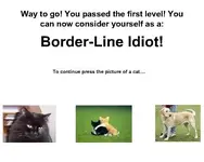 idiot-test.webp idiot-test.webp