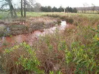 Blackfork river 026.webp