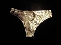 foil.webp