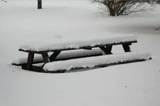 PicnicTable.webp