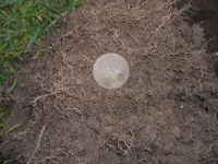 DSCN0116.webp
