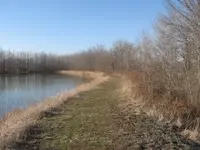 003.webp