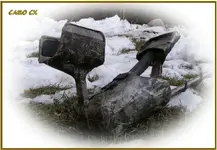 CAMO CX (2).webp