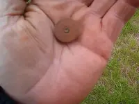 pennies galore 003.webp