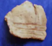 DSCN0832.webp