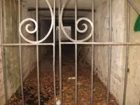 006.webp