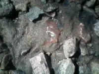 0305091155[1].webp