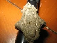 mikesfinds001.webp
