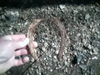 0305091216[1].webp