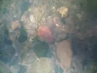 0305091149[1].webp