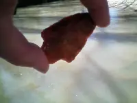 0305091150[1].webp