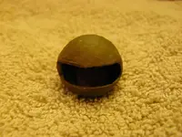 metal detecting 040.webp