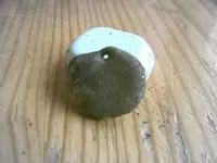 DSCF2608.webp