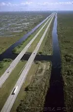 Alligator Alley.webp