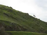 ridge.webp