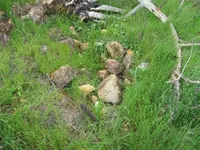 holerocks2.webp
