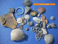 OBXNUT.webp