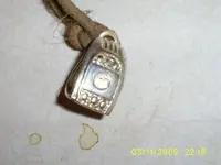S5030446.webp