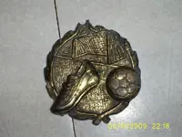 S5030448.webp