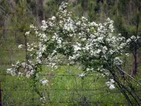 today4 (2).webp