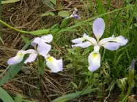 today5 (2).webp