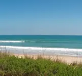 florida1.webp