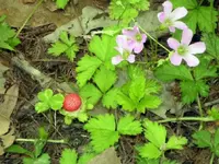 today9 (2).webp