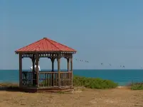 florida2.webp