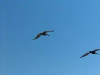 Florida3.webp