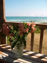 florida4.webp
