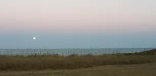 florida7.webp