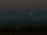 florida8.webp