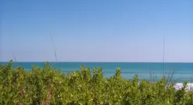florida.webp
