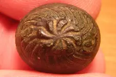 DSCN5497.webp