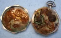langedorf w. co 005.webp