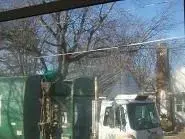 Garbage day march 12,2009 002.webp