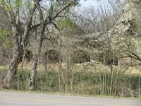 IMG_0177.webp