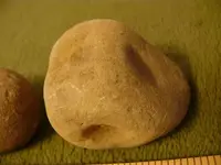 P1060421.webp