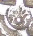 spanish cob countermark Guatemala fake.webp