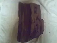 0401092100a.webp