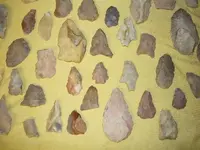 P1000323.webp
