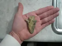 P3220932_resize.webp