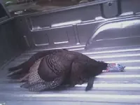 04-30-09_2042.webp