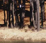 PIC00006.webp