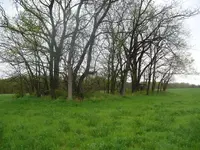 Burial Mound.webp