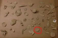 Finds Uncleaned.webp